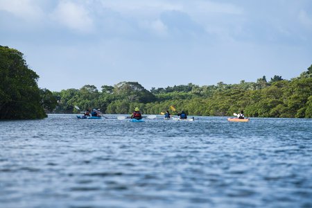 Okinawa,Japan - July 5, 2023: Rowing kayaks on Maira river in Iriomote island, Okinawa, Japanの写真素材