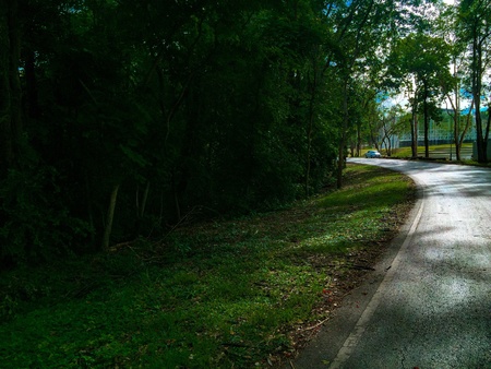 Street trees at Khon Kaen University