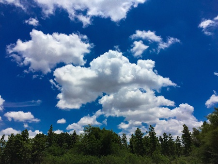 Blue sky