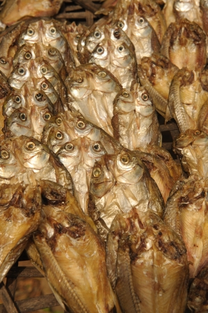Closeup traditional solar dried fishの写真素材