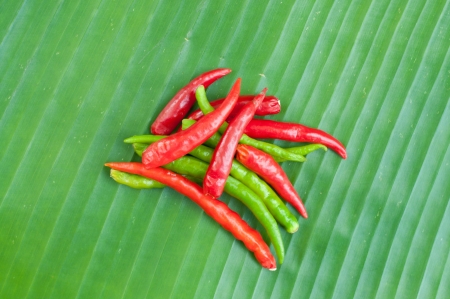 Red and green chilli on leaf show food ingradient conceptの写真素材