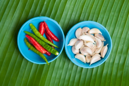 chilli and garlic on green leafの写真素材