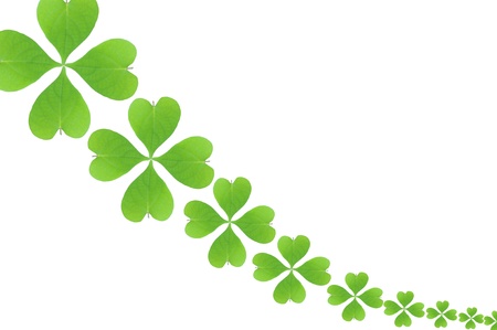 Pattern green leaves 
