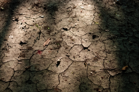 Sun light and cracked soil 