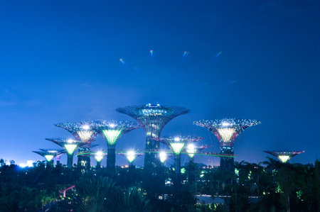 SINGAPORE -AUGUST 21: Night view of Supertree Grove at Gardens by the Bay on AUGUST 21, 2013 in Singapore. Spanning 101 hectares of reclaimed land in central Singaporeのeditorial素材