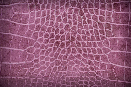 Purple Leather textureの写真素材