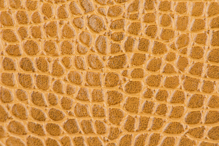 Leather texture