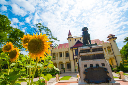 Sunflower and Chaleemongkolasana Residence background at Sanam chandra palace