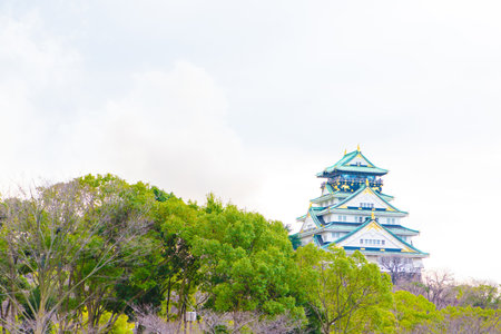 OSAKA, JAPAN - FEBRUARY 2, 2016: View of Osaka castle in winterのeditorial素材