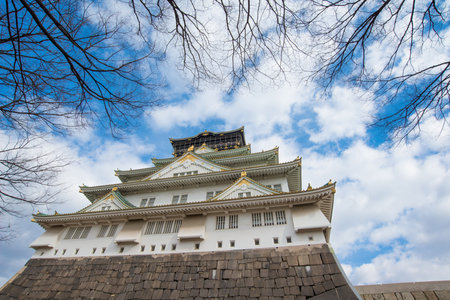 Closed up Osaka Castle in winter of Osaka,japanのeditorial素材