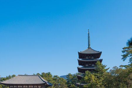 Kofukuji temple.のeditorial素材