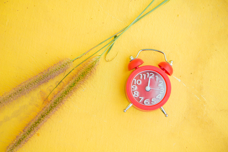 Red alarm clock and grass flower