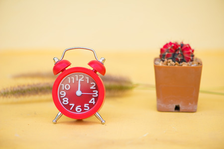 Red alarm clock and cactus in flower pot