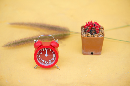 Red alarm clock and cactus in flower pot