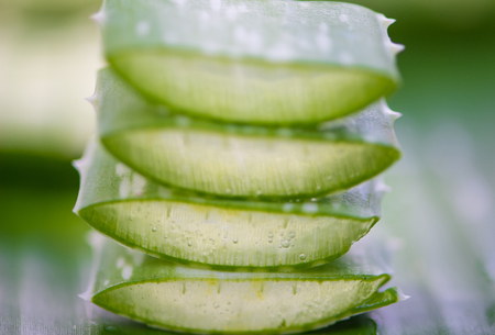 Closed up Sliced Aloe vera leaf on greenの写真素材