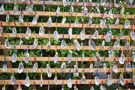 Kamakura, Japan - November 07, 2018: Kakigara inari or Inari-sha in Haze-dera temple or Hase-kannon temple in Kamakura,Japanのeditorial素材