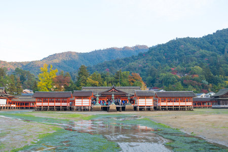 HIROSHIMA JAPAN - November 11, 2018 : Tourist to see Floating torii gate and pray of Itsukushima Shrine at Miyajima island Hiroshima, Japanのeditorial素材