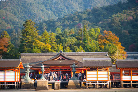 HIROSHIMA JAPAN - November 11, 2018 : Tourist to see Floating torii gate and pray of Itsukushima Shrine at Miyajima island Hiroshima, Japanのeditorial素材