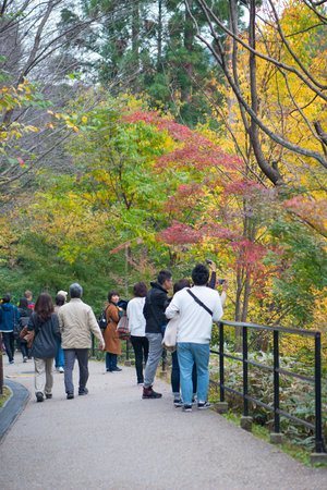 Kyoto, Japan - November 12, 2018: Tourist walk around Kiyomizu-dera Temple in Kyoto, Japanのeditorial素材