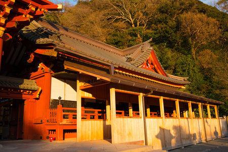 KAMAKURA , JAPAN - NOVEMBER 07, 2018: Tsurugaoka Hachimangu shrine, popular tourist attraction of Kamakura,Japanのeditorial素材