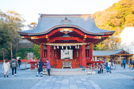 KAMAKURA , JAPAN - NOVEMBER 07, 2018: Maiden hall of Tsurugaoka Hachimangu shrine, popular tourist attraction of Kamakura,Japanのeditorial素材