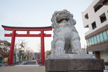 KAMAKURA , JAPAN - NOVEMBER 07, 2018:Stone lion and Tori gate in front of Dankazura pathway to Tsurugaoka Hachimangu shrine at  Kamakura,Japanのeditorial素材
