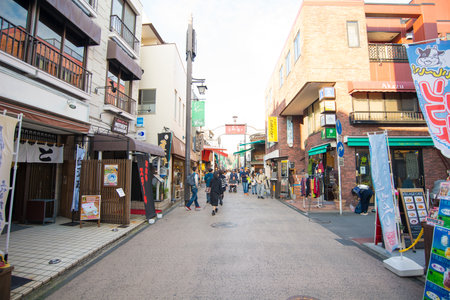 KAMAKURA , JAPAN - NOVEMBER 07, 2018:Tourists visit the famous Komachi Street in Kamakura,Japanのeditorial素材