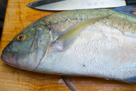 Caranx melampygus, Bluefin trevally or Black ulua on wood floor