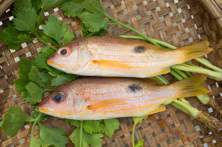 Fresh raw fish in wood tray show ingredients for sashimi or sushiの写真素材