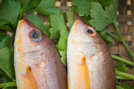 Fresh fish on tray. Healthy eating concept.