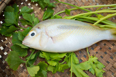 Fresh raw fish in wood tray show ingredients for sashimi or sushiの写真素材