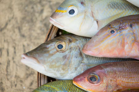 Closed up Fresh fish on tray. Healthy eating concept.の写真素材