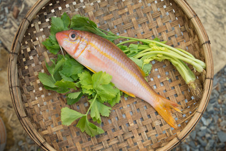 Goat fish or Armored catfish on green vegetableの写真素材