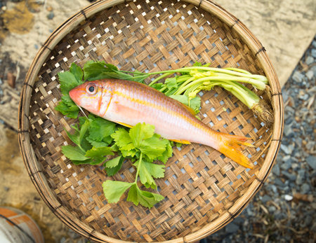 Goat fish or Armored catfish on green vegetableの写真素材