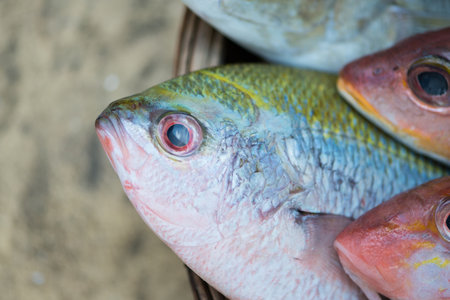 Fish for sashimi and sushi in wood bastket