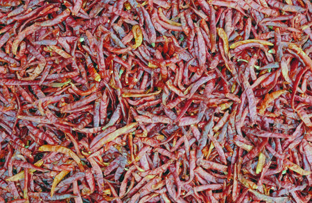 Red hot Chilli ,thai seasoning