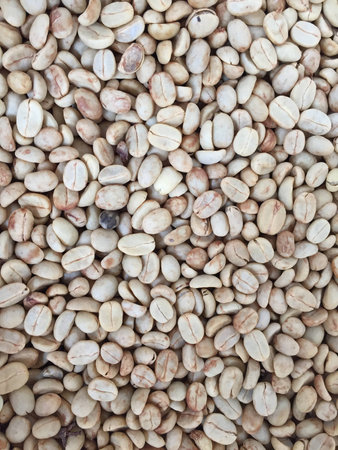 Dry coffee beans , coffee processの素材