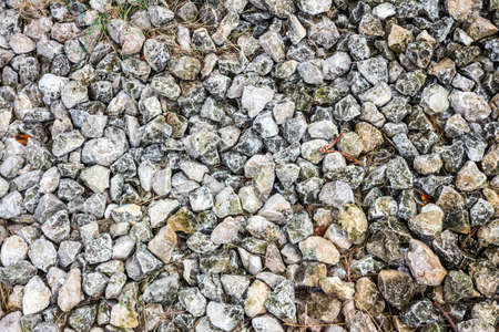 Stone texture of castle fortress in Dubrovnik old town, Croatia having green grassのeditorial素材