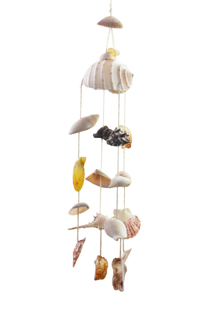 curtain shells on white backgroundの写真素材