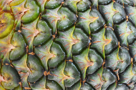 Close up of a pineapple peelの写真素材