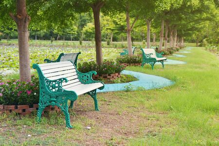chair in relaxing zone at public parkの写真素材