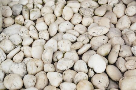 close up of white stone, pebble