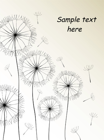 Dandelions cardのイラスト素材