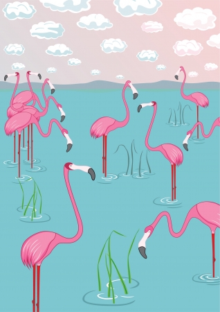 Pink flamingos on the bay. Vector illustrationのイラスト素材