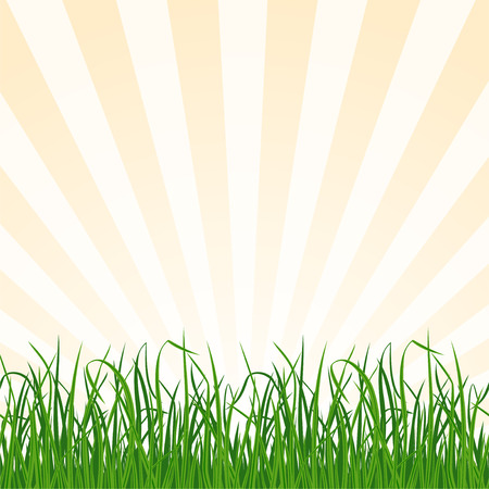 Landscape background with grass and sky. Vectorのイラスト素材