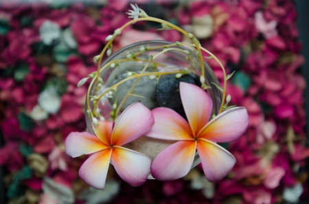 flowers in glass on the tableの写真素材