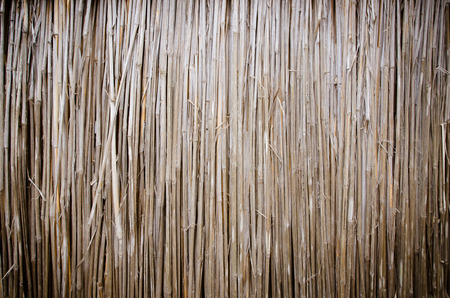 front view of cane dry, as a background