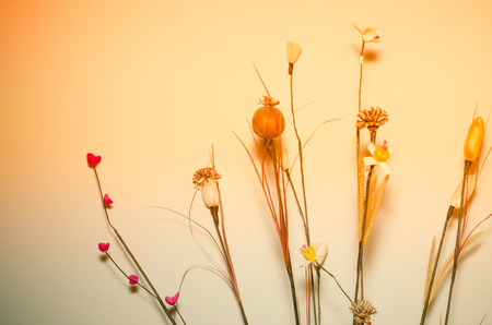 Artificial flowers backgroundの写真素材