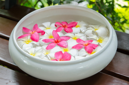 flower petals in a bowl at a spaの写真素材