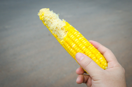 woman eats boiled corn in handの写真素材